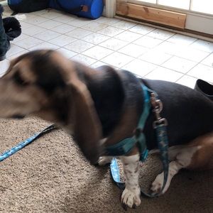 Meet your Posher, Kim